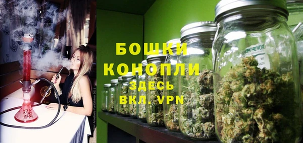 хмурый Каменногорск