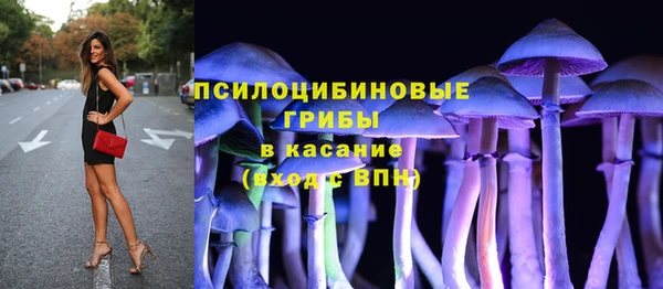 первитин Кодинск