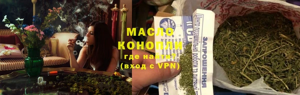 хмурый Каменногорск